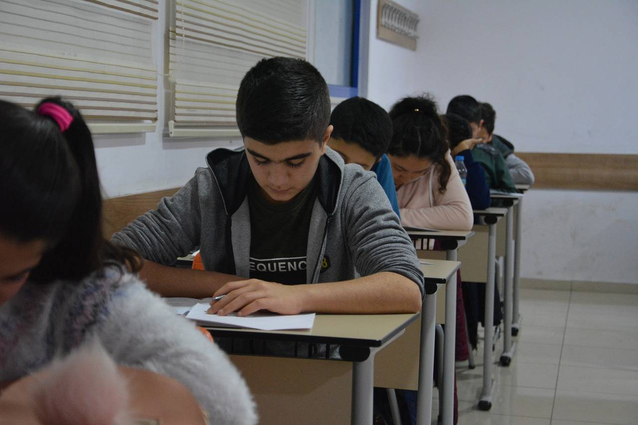 Examining the Role of Peer Feedback in Improving Student Writing Skills