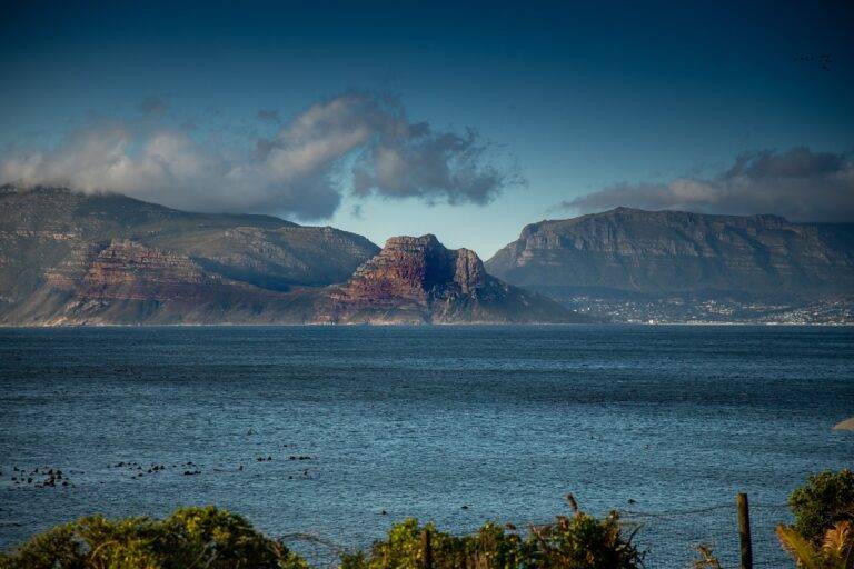 The Growth of the Sharing Economy in Travel