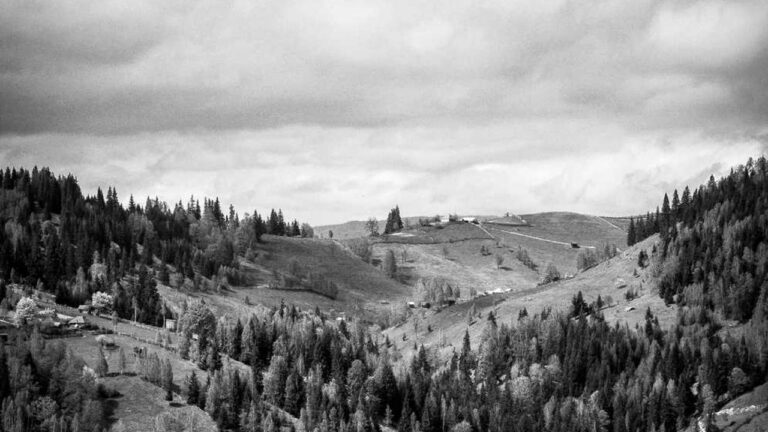 How To Sign Up For Cricbet99 Club Win?